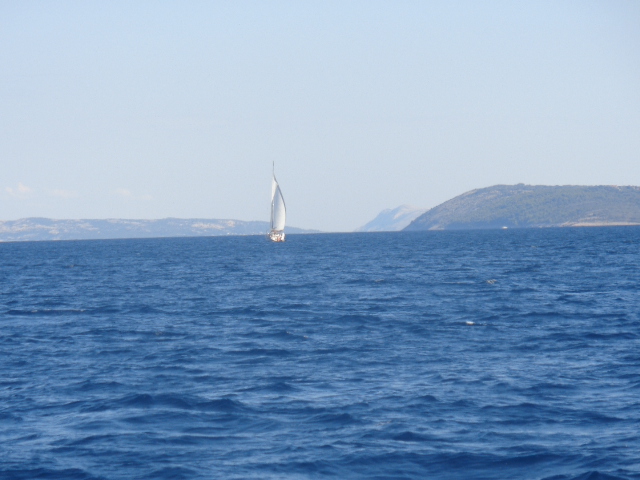 DSC00538