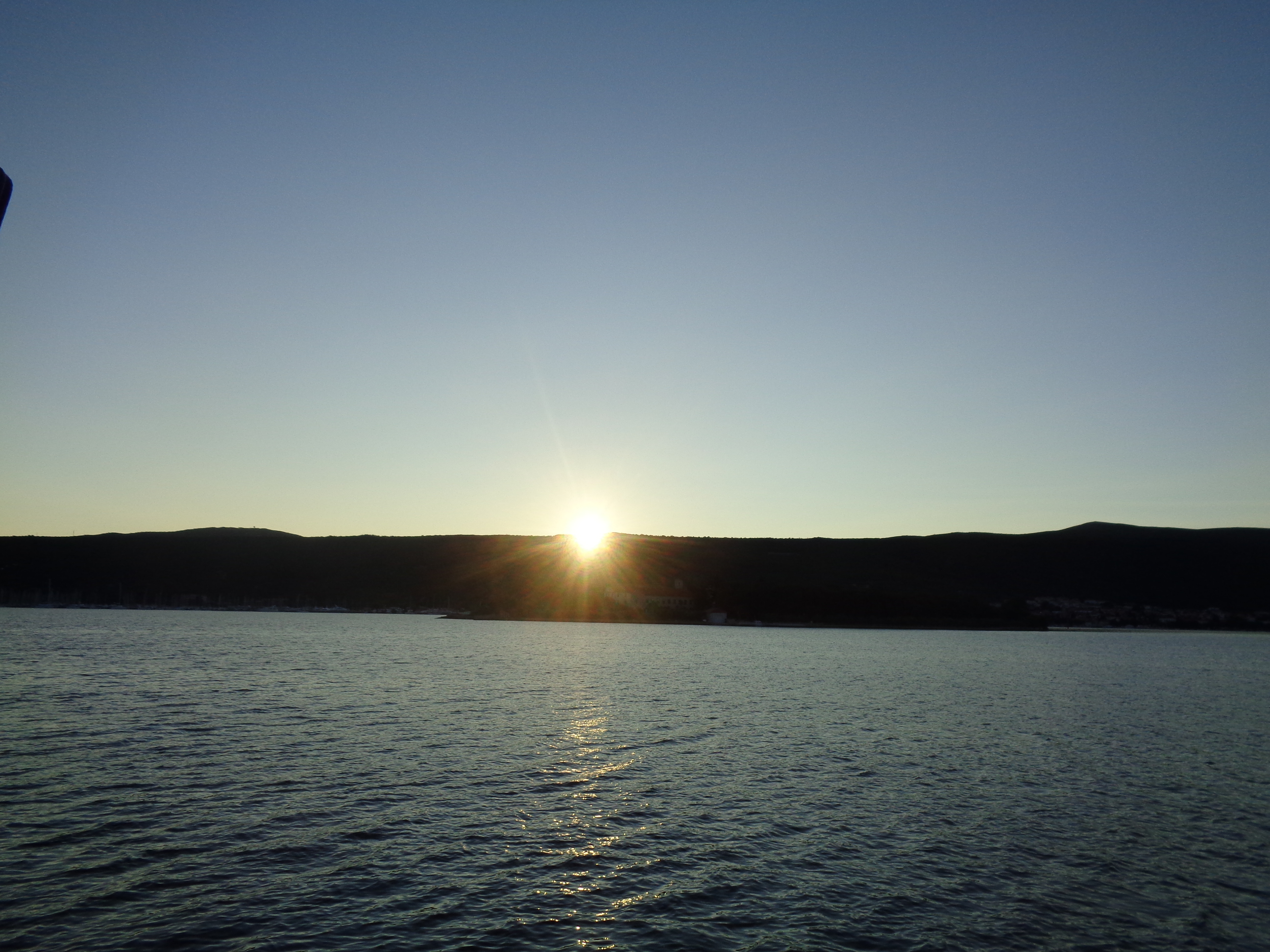 DSC00739