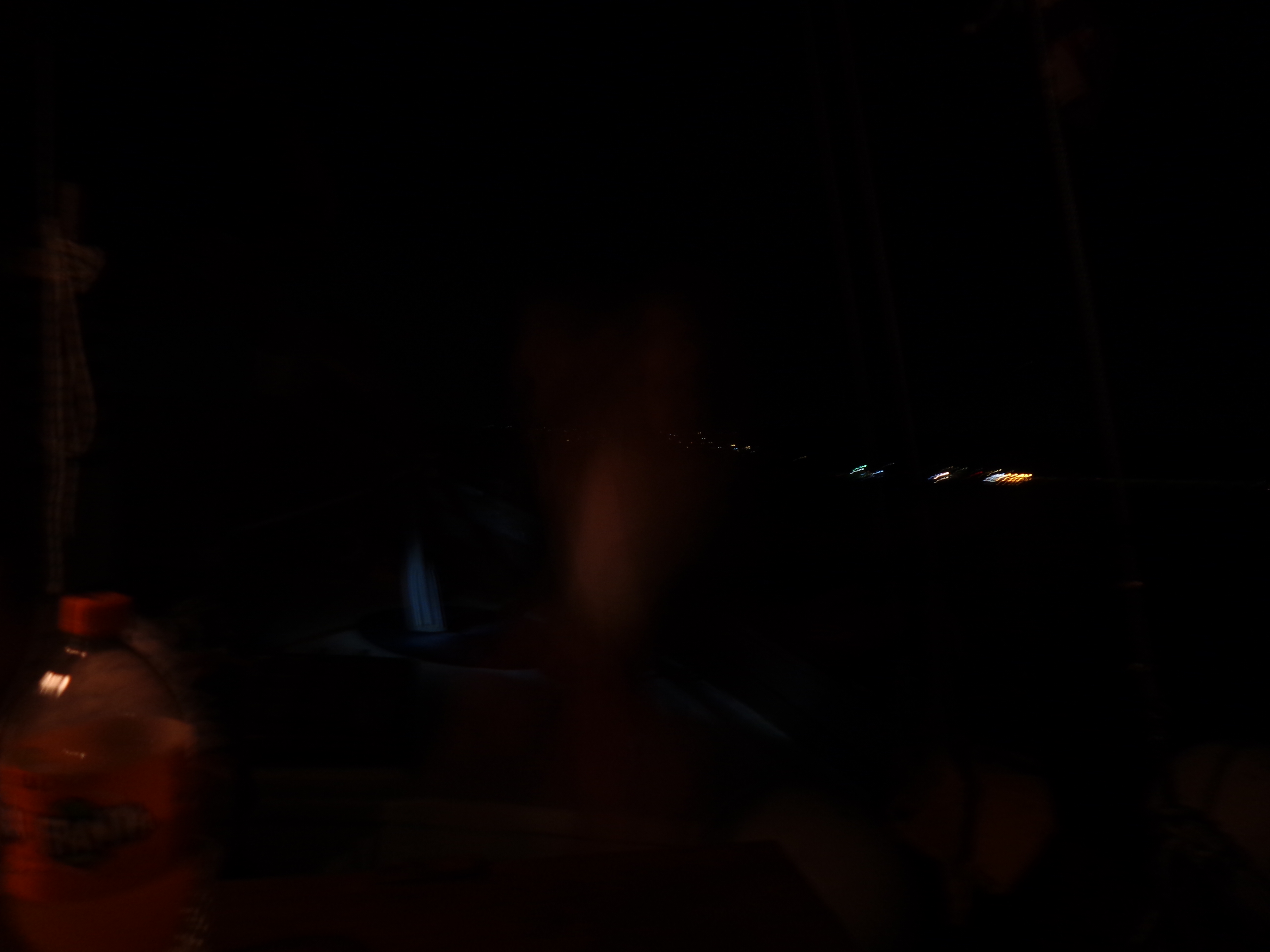 DSC00711